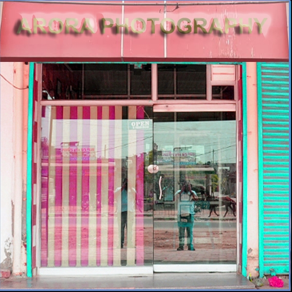 PPA PUNJAB - Arora Photography