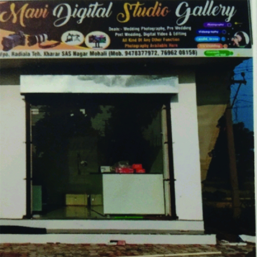 PPA PUNJAB - Mavi Digital Studio