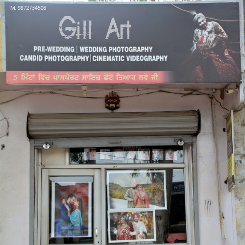 PPA PUNJAB - GILL ART 