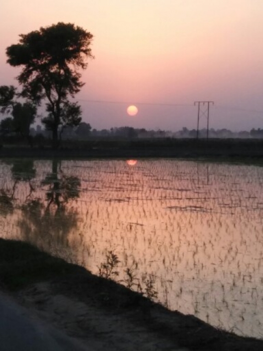 PPA Punjab Photo Gallery