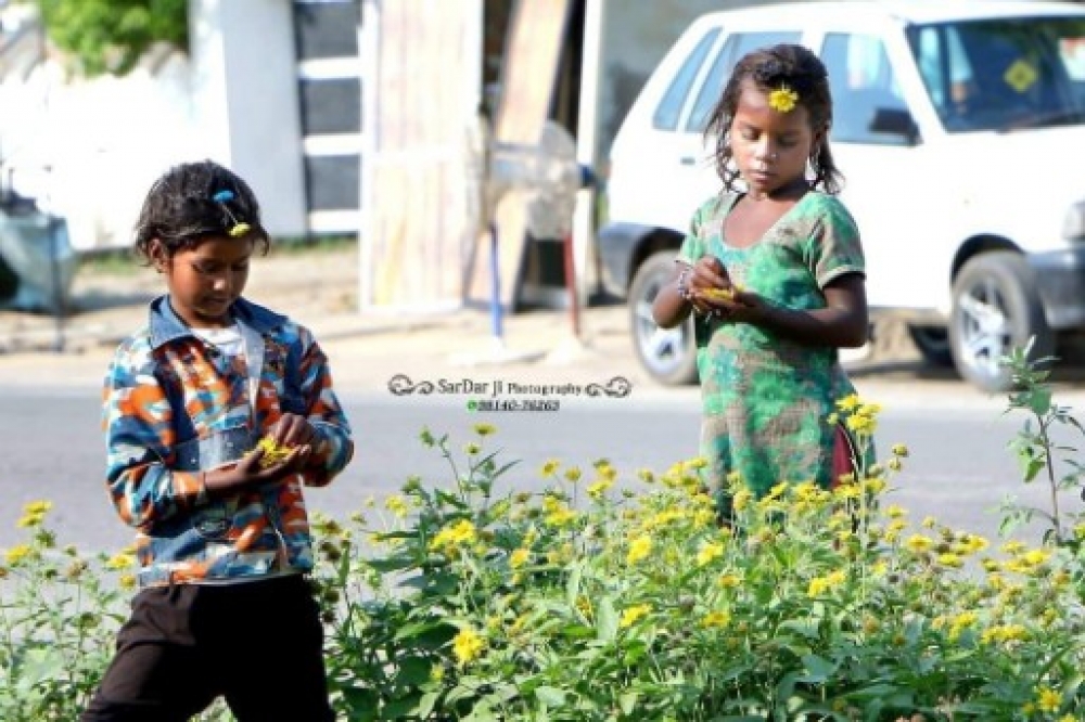 PPA Punjab Photo Gallery