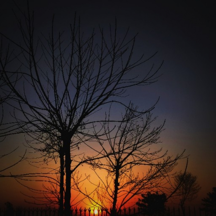 PPA Punjab Photo Gallery